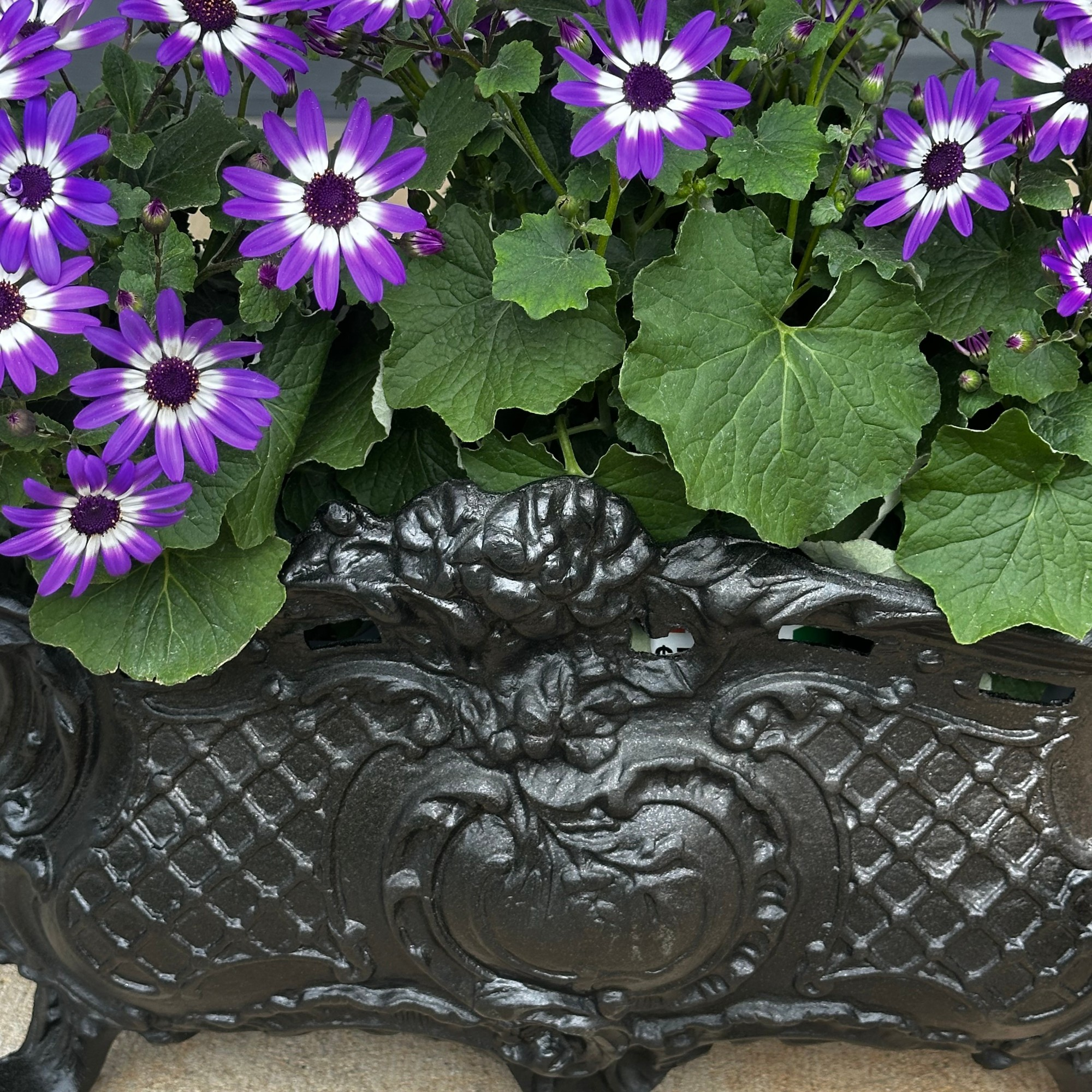 cast aluminum planter ornate detail close up garden decor texture