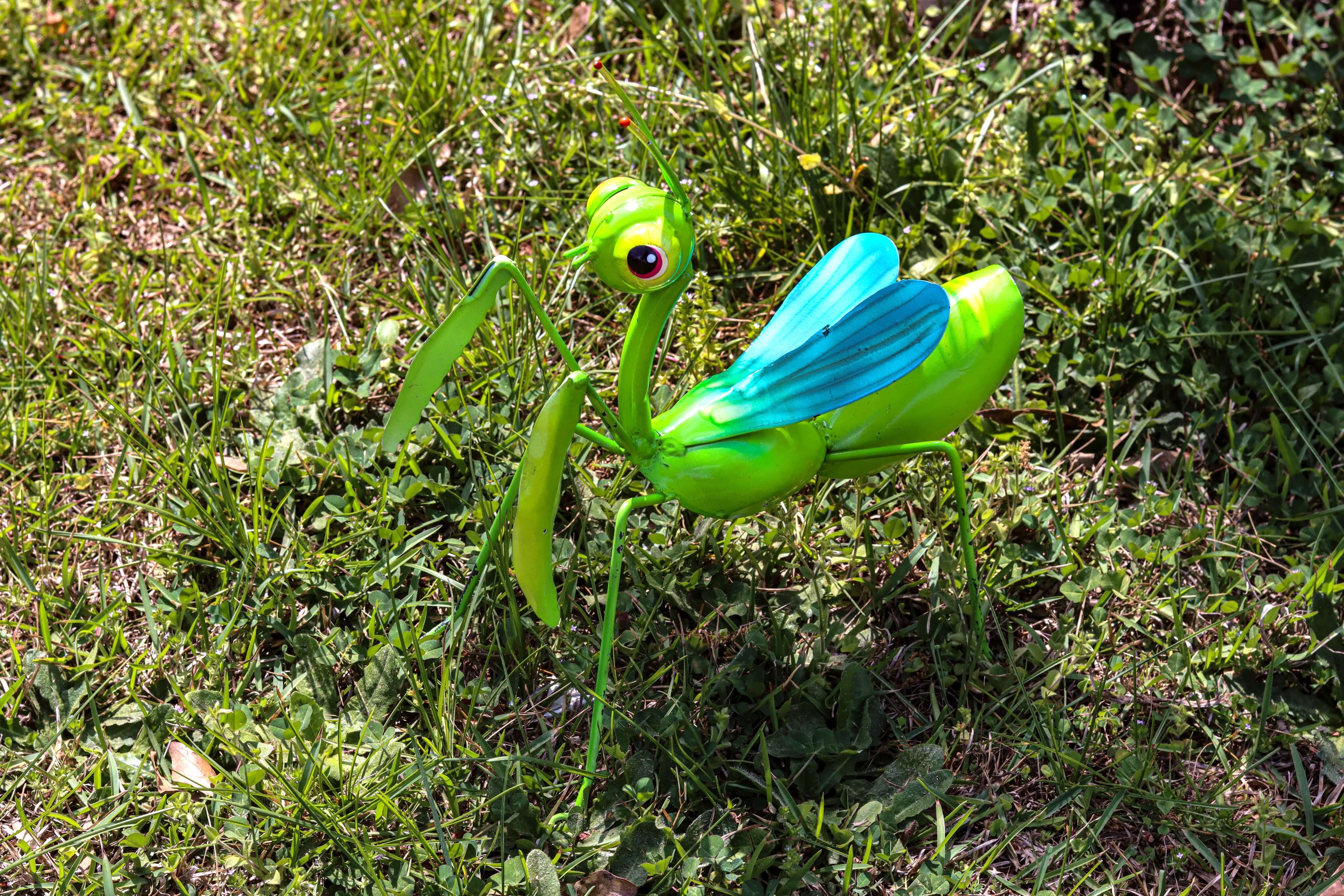 Close up of metal praying mantis garden sculpture in grass showing teal wing panels and expressive eyes