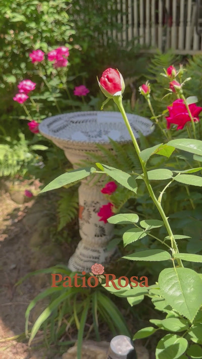 Video showing hand-painted Mexican ceramic birdbath in white with black floral pattern and monarch butterfly, Tonalá folk art set in garden with pink roses and ferns, Patio Rosa